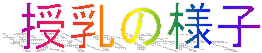 ̗lq