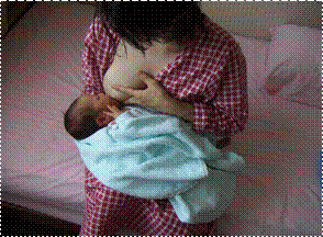 V摜 (3).png