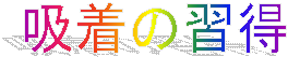 z̏K